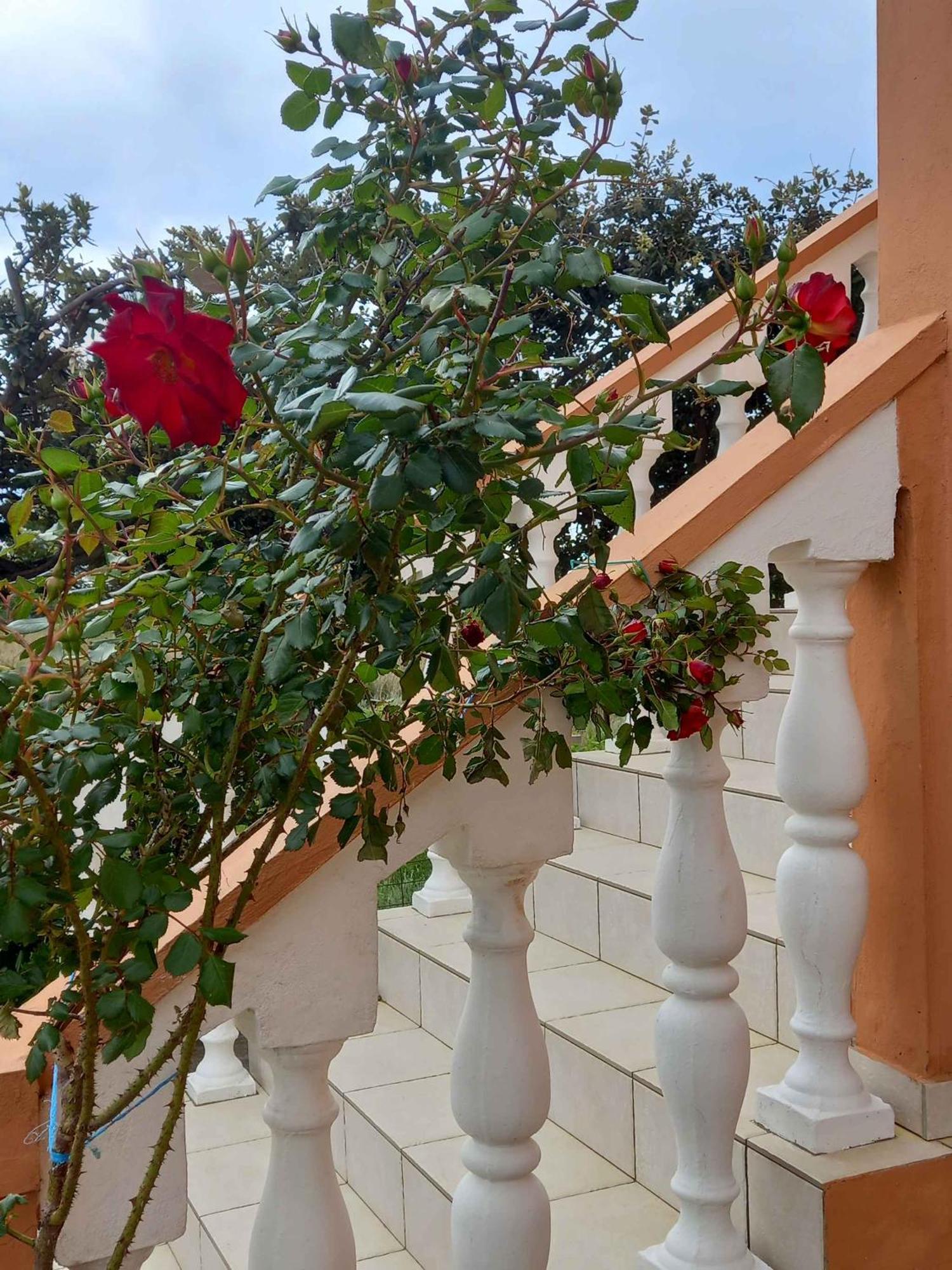 Apartments In Rab - Insel Rab 39950 Mundanije Eksteriør billede
